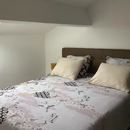 Saleccia Prázdninový dům